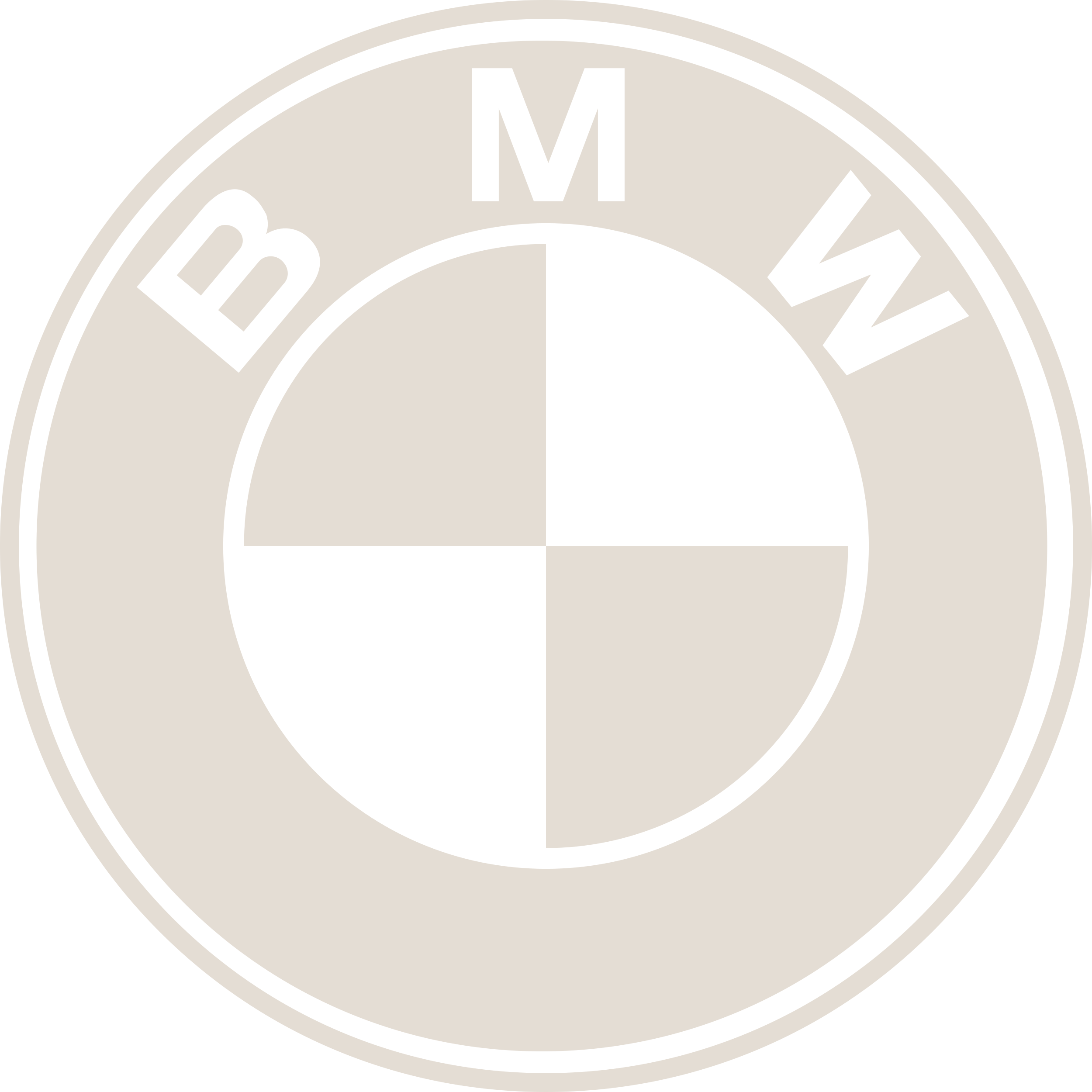 BMW Logo